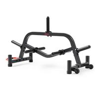 SUNNY HEALTH & FITNESS SF-XF9938 Support de Rangement pour Disques d'haltères Noir Taille Unique