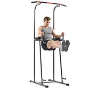 Sunny Health & Fitness Tour de Musculation et Station de Dips | Multifonction Musculation, Stations de Traction et Dips, Poignées Rembourrées, Cadres Robustes, Chaise Romaine