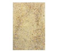 Sunny Orange Nourriture pour escargots et escargots et escargots (200 g)