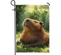 Sunny Spring Joli drapeau de jardin Capybara, bannière décorative en forme d'animal marron, drapeau de cour double face pour décoration d'intérieur, décoration de jardin saisonnière, 30,5 x 45,7 cm