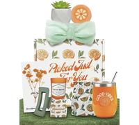 Sunny&Wise Paniers cadeaux à thème orange pour femmes, cadeaux de soins personnels pour femmes, emballage de soins pour femmes, cadeaux relaxants pour femmes, coffret cadeau pour femme