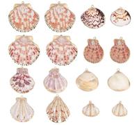 SUNNYCLUE 1 boîte 32 pièces 8 styles Charms coquillages naturels Charms coquillages d'eau douce en vrac plaqués électrolytiquement Assortiment de pendentifs coquillages de plage dorés pour la fabricat