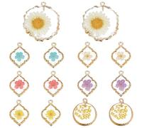 SUNNYCLUE 1 boîte de 14 breloques en Résine Représentant des Fleurs Séchées 7 styles Différents Fleurs Pressées en Vrac Formes Assorties Bordure Dorée Pendentifs Floraux Plats en Résine à Ressort pour
