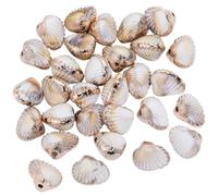 SUNNYCLUE 1 boîte de 40 perles en Acrylique en Forme de Coquillage Perles de Coquillage Électroplaquées Couleur Beige Coquillages D'Été Coquille Saint Jacques Conque Entretoises pour la Création de Bi