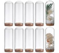 SUNNYCLUE 10 pièces 7x3 cm Dôme D'Affichage en Verre Cloche D'Affichage en Verre Mini Bouteilles en Verre Dôme D'Affichage avec Base en Liège Vitrine pour Le Stockage de Fleurs Faveur de Fête de Noël