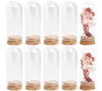SUNNYCLUE 12 Mini Cloche en Verre avec Dôme de 30x70 mm Bocaux en Verre avec Base Liège Affichage Transparent Cloche Petits Pots pour Le Stockage de Fleurs la Maison la Fête