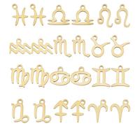 SUNNYCLUE 24 Pièces Breloques de Constellation du Zodiaque en Acier Inoxydable - Double Face 12 Signes D'Horoscope