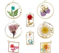 SUNNYCLUE Boîte 8 Styles de Breloques de Fleurs Pressées en Résine, Pendentifs de Fleurs Séchées et Plantes Naturelles en Alliage Transparent pour la Fabrication de Bijoux Collie