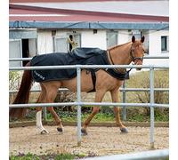 SUNRIDE Couvre-Reins imperméable Cheval 0g (Derby) - 600D - 100% étanche - Colonne d’Eau 5000 mm - Doublure Polaire - Couvre-Selle - réfléchissant - Respirant (Noir, 145 cm)