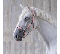 SUNRIDE Licol Biothane pour Chevaux - avec Tricot - Résistant aux UV - Anatomique - Réglable - Rembourrage supplémentaire - Durable et végétalien - Imperméable - Inoxydable (Rose, Full)