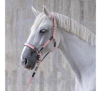 SUNRIDE Licol en Biothane pour Chevaux - avec Tricot - Résistant aux UV - Anatomique - Réglable - Rembourrage supplémentaire - Durable et végétalien - Imperméable - Inoxydable (Rose, Poney)