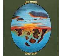 Julie Tippetts – Sunset Glow – CD – Édition remastérisée