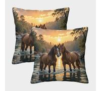 Sunset Horses Standing-Photographie de paysage de la nature Housse Coussin 2 Pièces Available All Seasons Taie D'oreiller Décor Confortable Taies D'oreiller Canape Luxe Pour Siège Maison 40x40cm