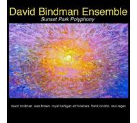 Sunset Park Polyphony by David Bindman
