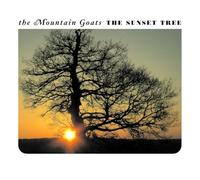 Sunset Tree - Édition Limitée - Vinyle Couleur Abricot