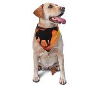 Sunsets - Bandana triangulaire réglable et lavable pour chiens de petite et moyenne taille - Accessoire photo - Motif Lake Horses