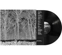 Sunshine and Balance Beams