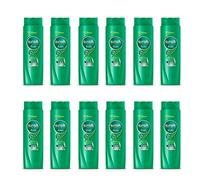 Sunsilk Shampooing pour cheveux bouclés et ondulés Ricci da Domare – Set 6 Vert 250 ml