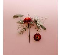 Sunsleeper – You Can Miss Something & Not Want It Back – Vinyle – Import