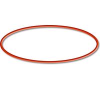 SunSun Pièces de Rechange filtre extérieur d’Aquarium HW-702B / 703B / 704B joint torique