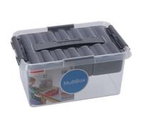Sunware - Q-Line boîte de Rangement avec Plateau 6L Transparent métallique - 30,7 x 20 x 14,3 cm