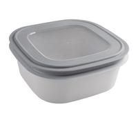 Sunware Sigma Home Boîte de conservation pour micro-ondes, congélateur, 2,8 l, gris, 23 x 23 x 9 cm, hermétique, anti-fuite, empilable, sans BPA