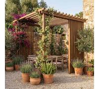 Sunwood Pergola Isola Deluxe en bois de pin Bilama, avec franges intégrées, structure autoportante professionnelle pour jardin et terrasse (240 x 240 cm)