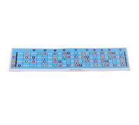 Sunydog 4 Cordes Basse Manche Notes, Guitare Note Diagramme Code Couleur