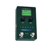 Sunydog Enregistrement FLAMMA Looper Pédale de Guitare 160 Minutes Temps de Boucle Gestion Données USB ABS Vert 1 Pédale pour Guitaristes (Prise UE)