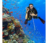 Sunydog Pointeur de Bâton de Plongée en Alliage en Aluminium, Longe Mesure, Affichage Sportif Plongée, Rock à Poisson (Argent)