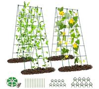 SUNYRISY Lot de 2 tuteurs en métal pour concombre, plantes grimpantes, tomates, support pour fleurs et plantes utiles, vert
