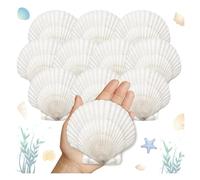 Suoumwa 25pcs Grands de Pétoncles pour L'Artisanat 4 "- 5" de Pétoncle Blanc Artisanat Bricolage Peinture de la Plage Décoration de Fête