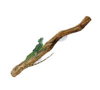 Suoumwa Branches de Reptile pour l'escalade Barbu Dragon Branche Naturel Antidérapant Habitat Décorations Reptile Décor