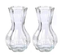 Suoumwa Ensemble de Vase en Verre de 2 avec Côtelée pour Décoration Intérieure, Salon, Table Centrales de Table de Mariage Vases pour Fleurs