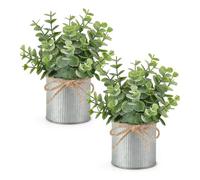 Suoumwa Farmhouse Galvanisé Pots avec Mini Faux Eucalyptus 2 Paquets de Petites Plantes de Fausses Plantes pour la Pièce Maîtresse de Table Intérieure