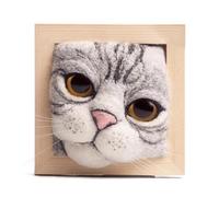 Suoumwa Kit de Tricot pour Chat avec Ornements de Cadre Photo en Feutre de Laine Interactif pour