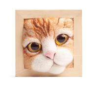 Suoumwa Kit de Tricot pour Poupée Chat avec Cadre Photo, Ornements et Base de Façonnage - Fournitures D'Artisanat pour