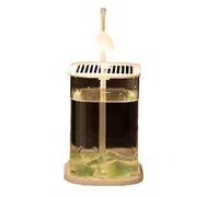 Suoumwa Mini de Bureau en Verre Aquarium Aquarium avec Une Lampe à LED à Cristal Coloré Ornements de Bureau Haut de Gamme Lampe en Verre Haut de Gamme