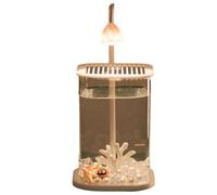 Suoumwa Mini de Bureau en Verre Aquarium Aquarium avec Une Lumière de Bureau LED Ornements Haut de Gamme pour la Culture du Poisson Glace Écrasée en Perle
