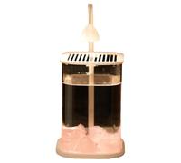 Suoumwa Mini Glass Aquarium Fish Tanktop Bureau Ornements de Bureau LED LED LECT HIGHE-MAND Lampe Cristal Piers Rose