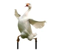 Suoumwa Modèle de Simulation de Jardin Animalier en Acrylique, Panneau Décoratif, Piquet de Sol pour Décoration de Jardin