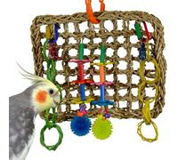 Super Bird Creations Mini d'activité Murale Jouet pour Oiseaux