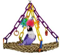 Super Bird Creations Mini Flying Trapeze Jouet pour Oiseaux