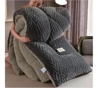 Super Chaud Flanelle Velours Couette Couverture Lestée D’Hiver Double-Face Polaire Couette épaissi Chaud Automne Printemps Peluche Couette Noyau, Couverture De Jet Ultra Douce, B, 200x230cm/4kg