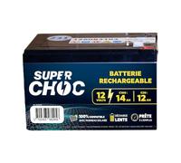 SUPER CHOC - Batterie Rechargeable pour Clôture Électrique - 12 V - Compatible avec Panneau Solaire - Prête à l'Emploi - Décharge Lente - 14 Ah