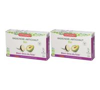 Super Diet Radis noir Artichaut Ampoule(S) Buvable(S) 2x20x10 ml