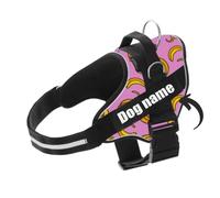 SUPER DOGGY Harnais pour Chien Personnalisé avec Nom - Harnet Petite,Moyenne et Grande Taille -Comprend Deux Étiquettes Velcro Réfléchissantes-Resistant,Reglable et Respiran (Pink Banana, XS 3-7KG)