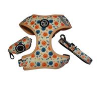 SUPER DOGGY Kit Harnais pour Chien Anti-Traction Réglable et Réfléchissant + Laisse et Distributeur de Sacs - Harnais Respirant pour Chiens Petits et Moyens (Bones & Footprints, XS (2.5-3.5 KG))