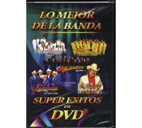 Super Exitos en DVD: Banda