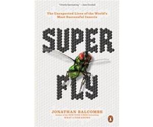 Super Fly - Jonathan Balcombe - Penguin Putnam Inc - Livre en Anglais - Paperback Jonathan BalcombeJonathan Balcombe (Auteur)